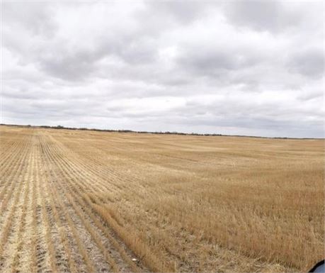 612 Acre Grain land For Rent RM No 276 and 246