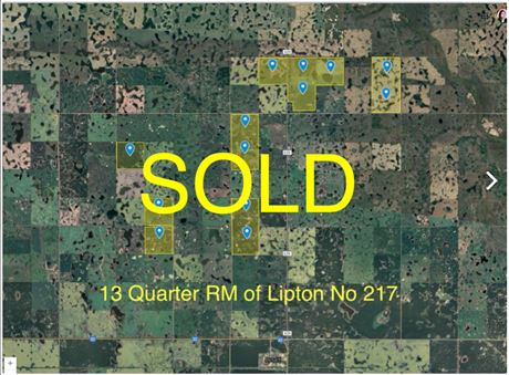 13 Quarter Grain Land For Sale in RM of Lipton No 217