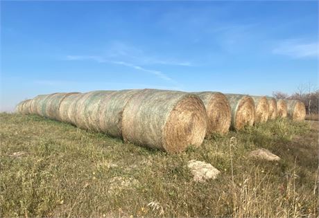 Hay Auction 124 Bales RM 276