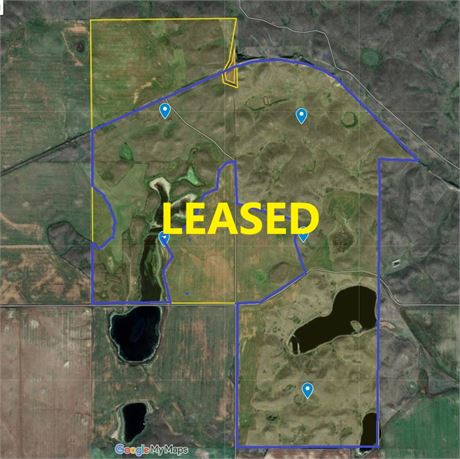 Leased ! 540 acre pasture in Rm of Monet No 257