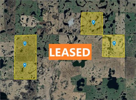 LEASED ! 4 Q Grain Land RM 247