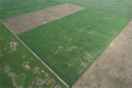 For Rent  3 Quarters Organic Land RM 69